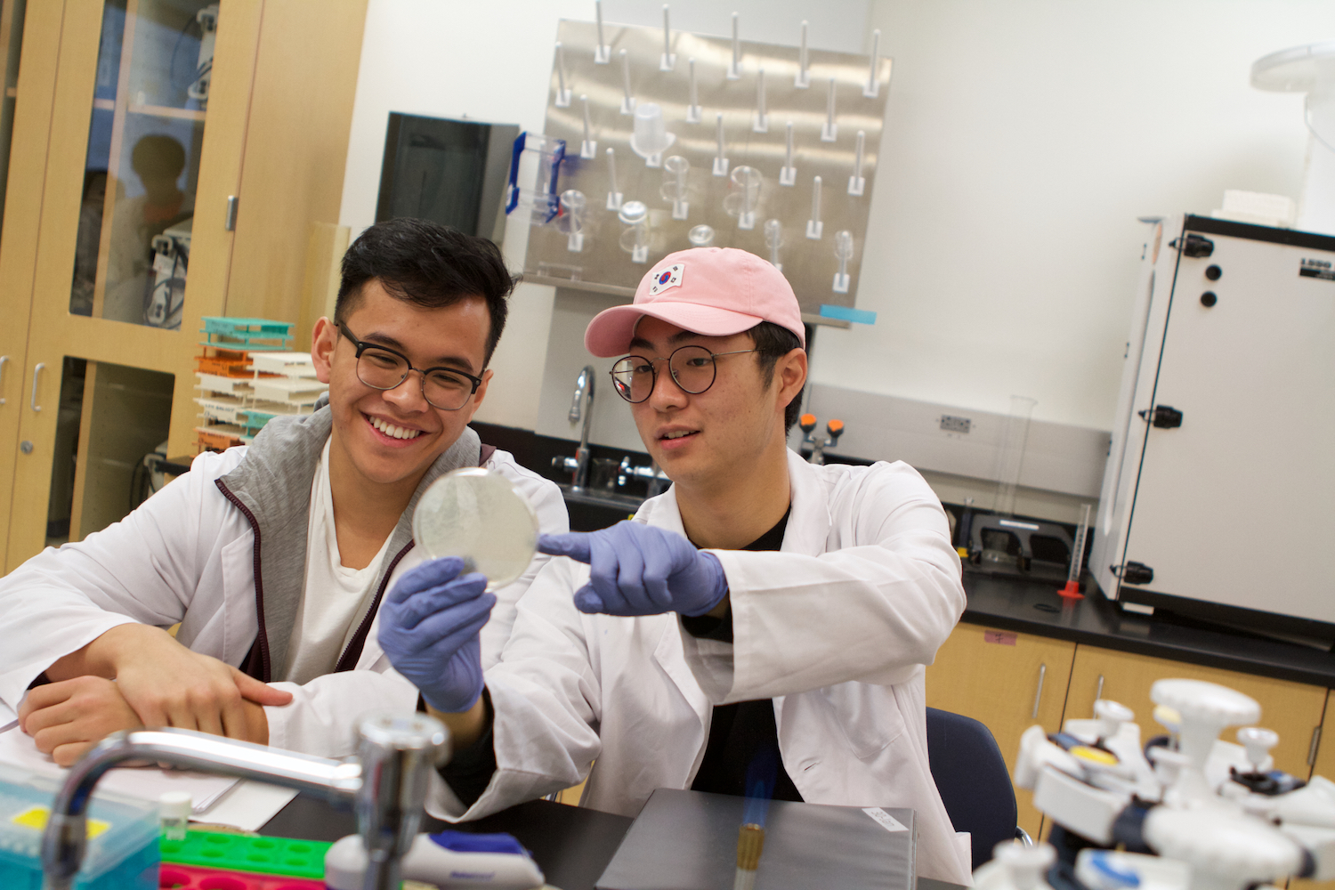Thumbnail for La Sierra freshmen discover new viruses through national research program
