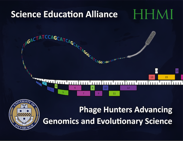 SEA-PHAGES Program Card